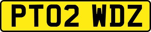 PT02WDZ