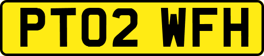 PT02WFH
