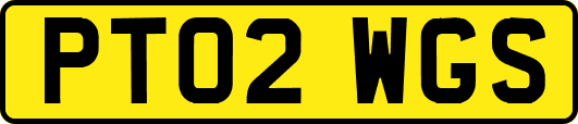 PT02WGS