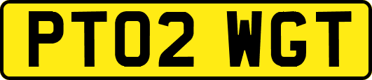 PT02WGT