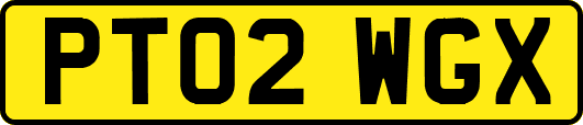 PT02WGX
