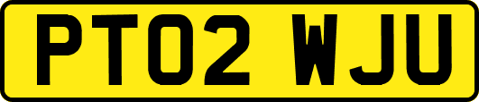 PT02WJU
