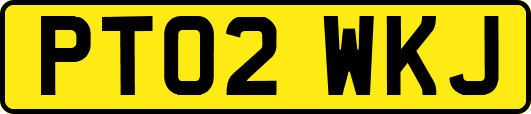 PT02WKJ