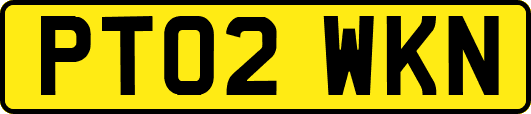 PT02WKN