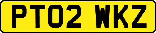 PT02WKZ