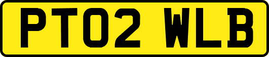 PT02WLB