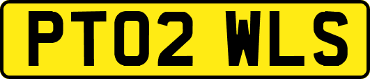 PT02WLS