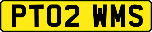 PT02WMS