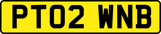 PT02WNB