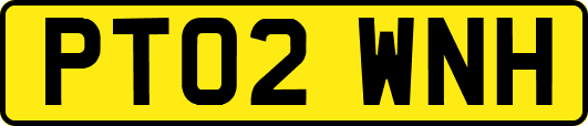 PT02WNH