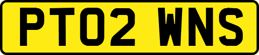 PT02WNS