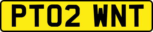 PT02WNT
