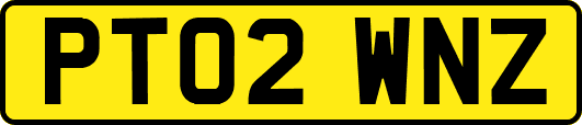 PT02WNZ