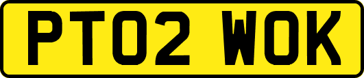 PT02WOK