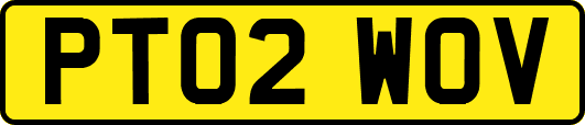 PT02WOV