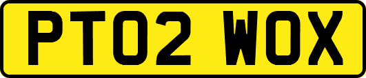 PT02WOX