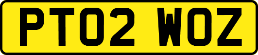 PT02WOZ