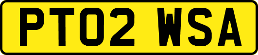 PT02WSA
