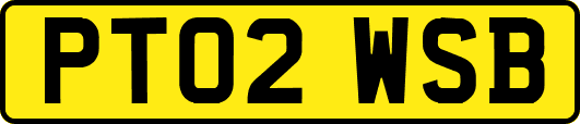 PT02WSB