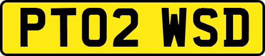 PT02WSD