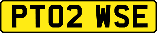 PT02WSE