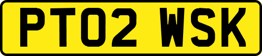PT02WSK