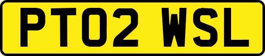 PT02WSL