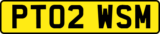 PT02WSM