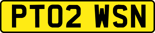 PT02WSN