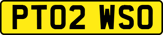 PT02WSO