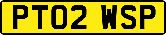 PT02WSP