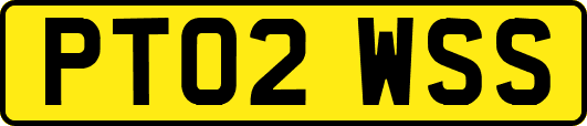 PT02WSS