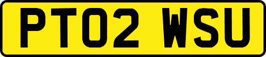 PT02WSU