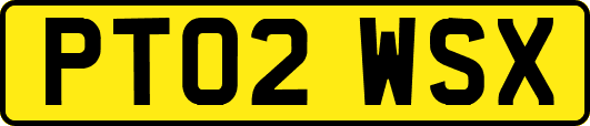 PT02WSX