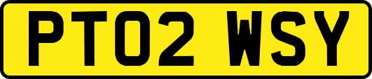 PT02WSY