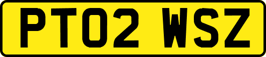 PT02WSZ