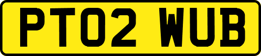 PT02WUB
