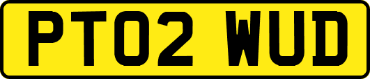 PT02WUD