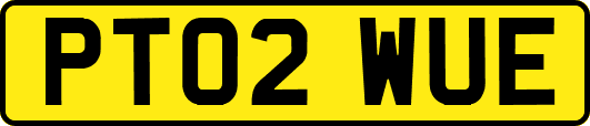 PT02WUE