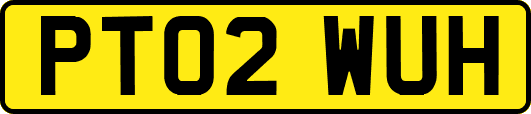 PT02WUH