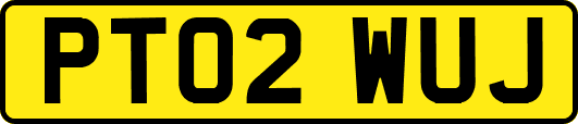 PT02WUJ