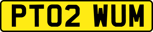 PT02WUM
