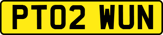 PT02WUN