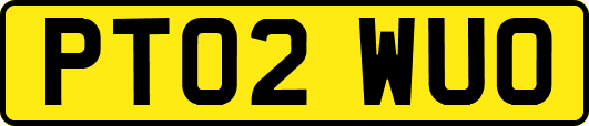 PT02WUO