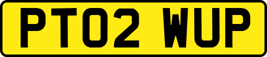 PT02WUP