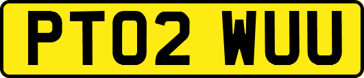 PT02WUU