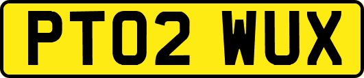 PT02WUX
