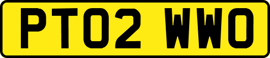 PT02WWO