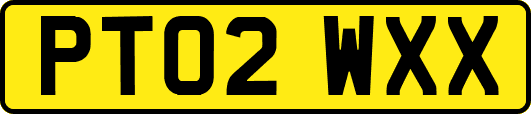 PT02WXX