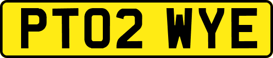 PT02WYE